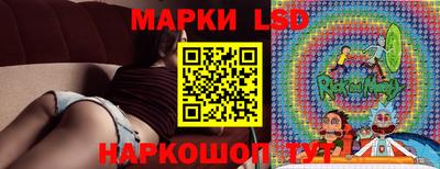 гидропоника Краснознаменск