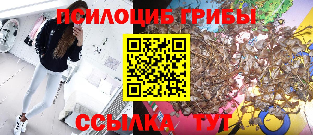Галлюциногенные грибы Cubensis Железногорск