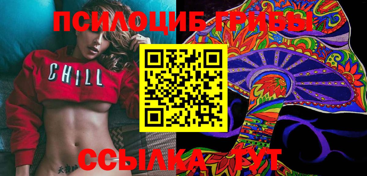 Железногорск  Псилоцибиновые грибы GOLDEN TEACHER  Вход с VPN 